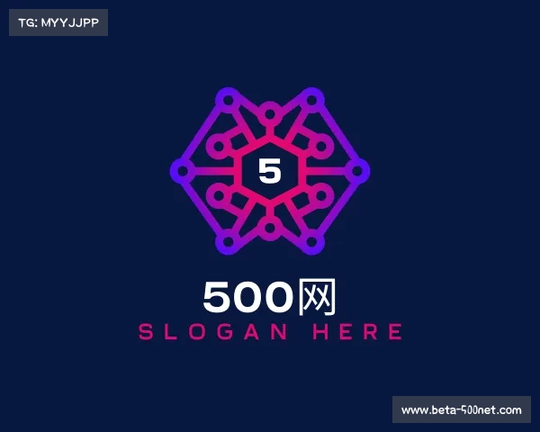 关于500网